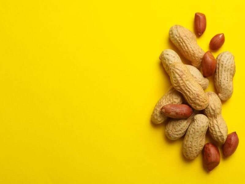 Peanut allergy in infants unchanged after new guideline introduced in australia