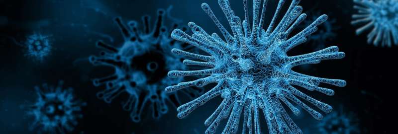 Hepatitis cases in children linked to adeno-associated virus AAV2 