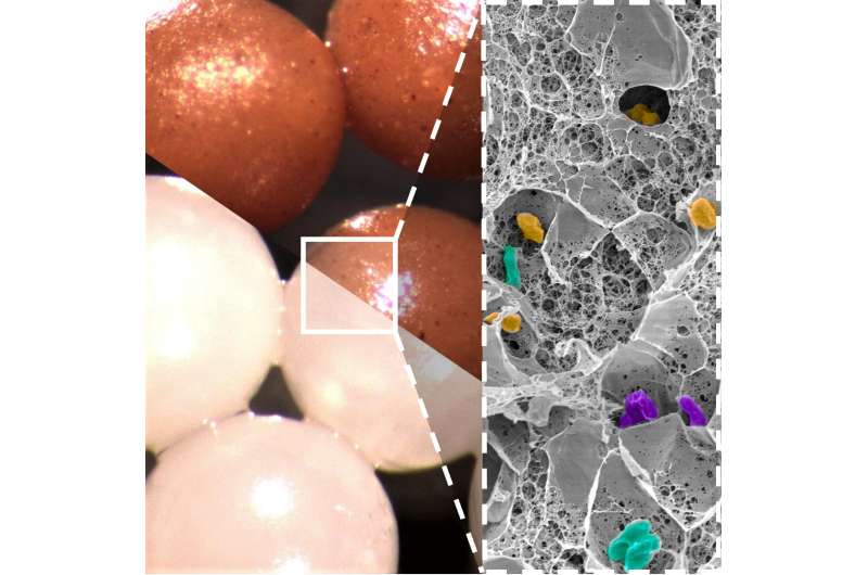 Team develops new method of encapsulating fecal bacteria to treat a serious intestinal infection 