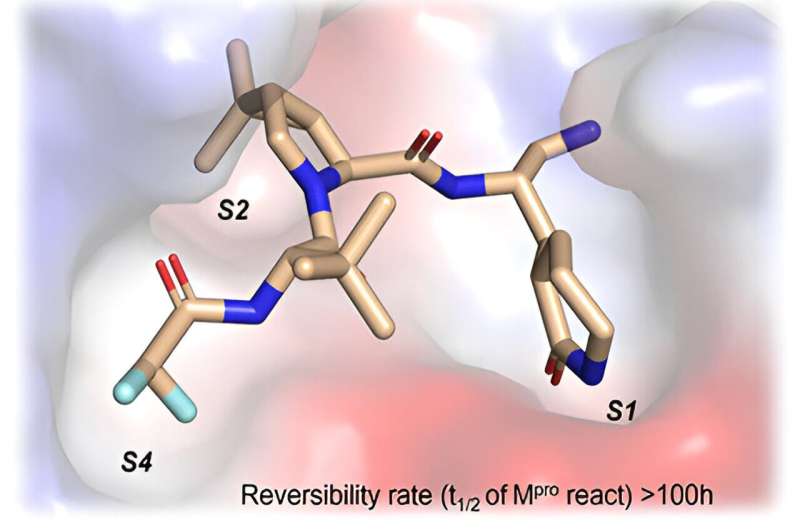 Credit: ACS Bio & Med Chem Au (2023). DOI: 10.1021/acsbiomedchemau.3c00039