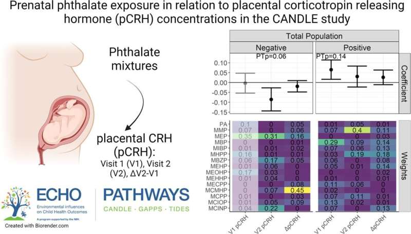 Chemical commonly found in consumer products may disrupt a hormone needed for healthy pregnancy