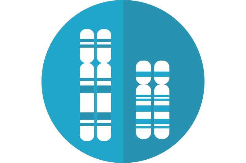 Chromosomal abnormalities uncovered in many couples struggling with recurrent miscarriage 