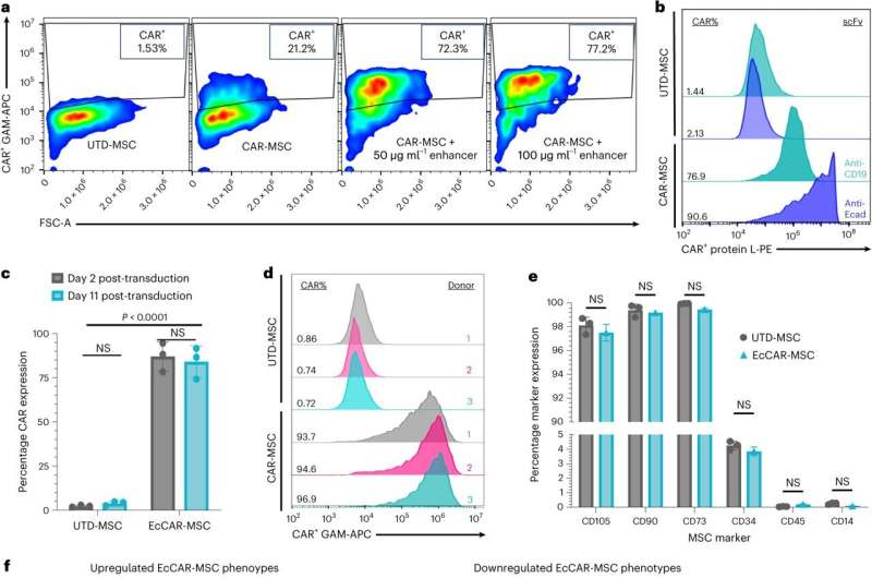 Scientists pioneer immunotherapy technique for autoimmune diseases