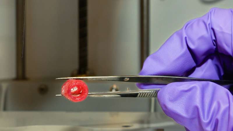 Engineers create 3D-bioprinted blood vessel