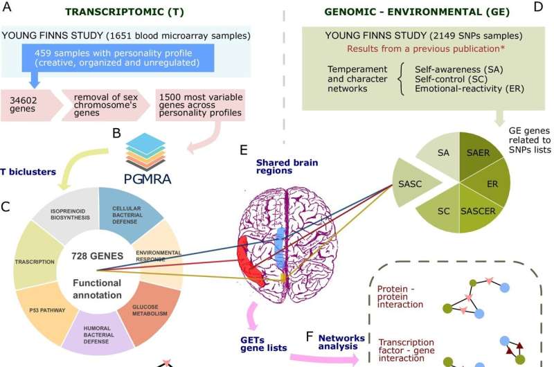 International study uses artificial intelligence to show how personality influences the expression of our genes