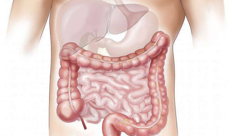 Microbial signature of colorectal cancer-associated mutations identified