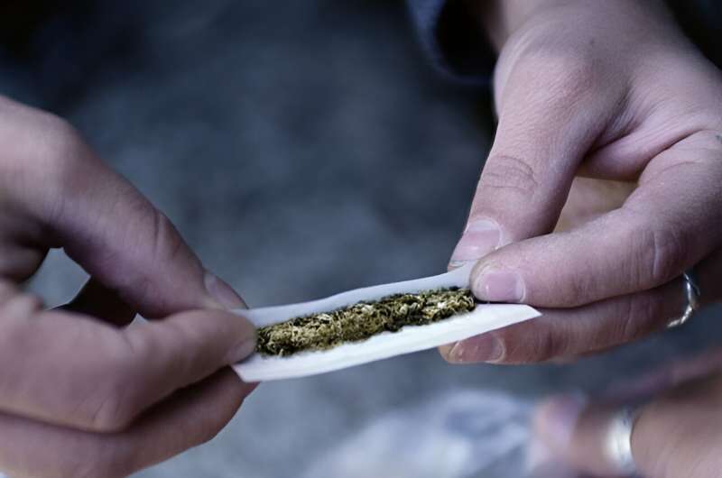 Antipsychotics help ease episodes of marijuana-induced psychosis