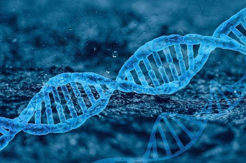 Scientists identify rare gene variants which confer up to 6-fold increase in risk of obesity