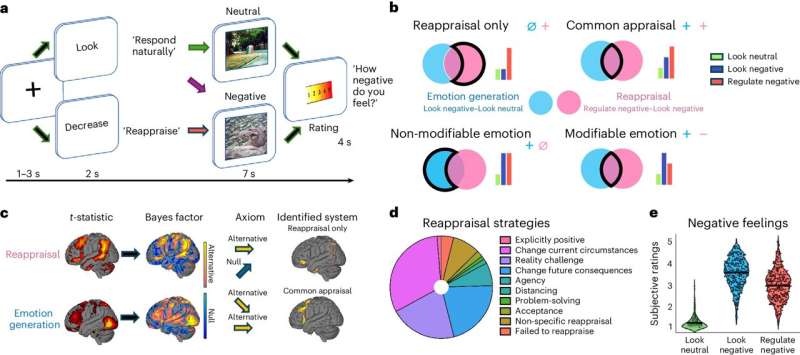 Researchers map how the brain regulates emotions