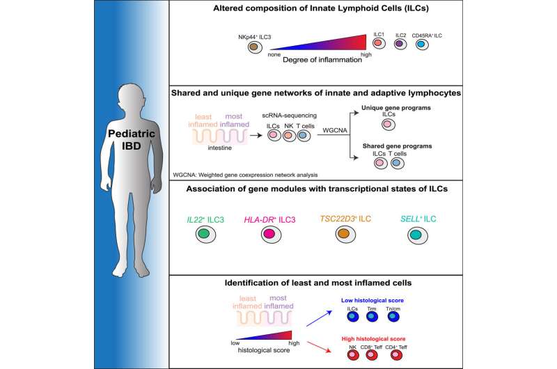 Researchers map the immunology of the gut in children with IBD 