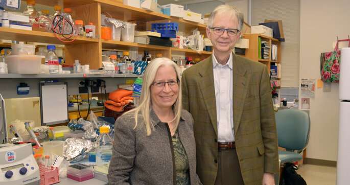 Researchers find potential new target against colorectal cancer 