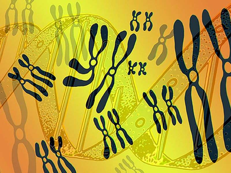 Five genes tied to osteoarthritis progression