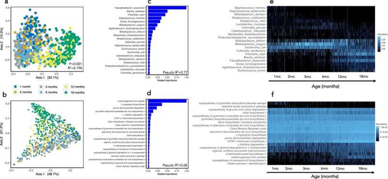 Target the microbiome to improve child undernutrition, say researchers 