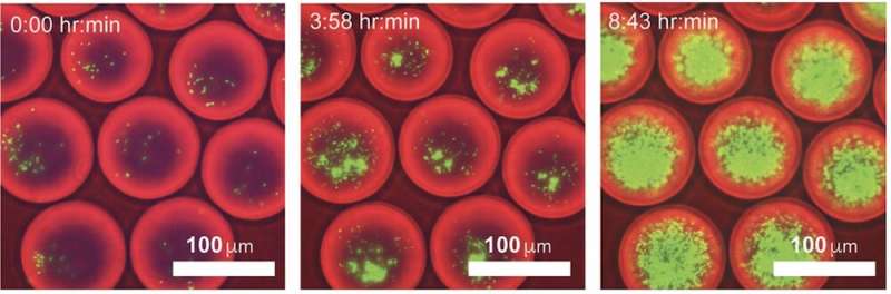 Researchers attempting to study differing microbiomes more effectively 