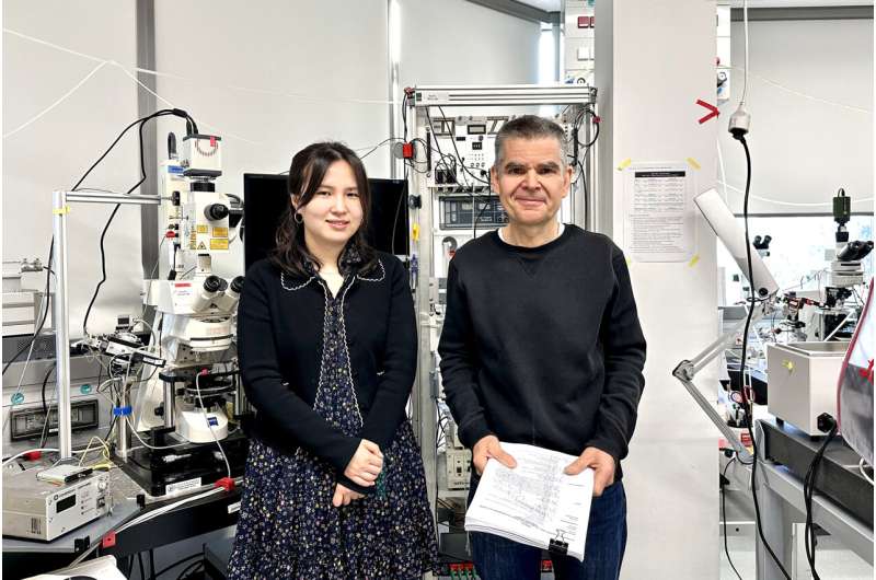 Jingjing Chen and Peter Jonas at the Institute of Science and Technology Austria (ISTA). Credit: ISTA