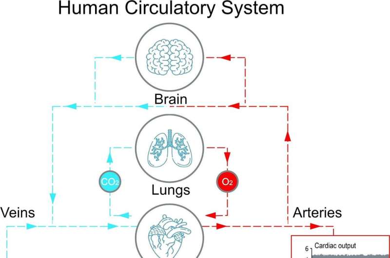 Researchers discover exploiting microbiome bacteria in patients with lung infections improves low oxygen levels