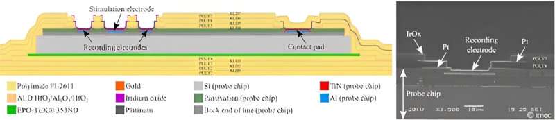 From pills to pulses: Electrifying medicine using the peripheral nervous system