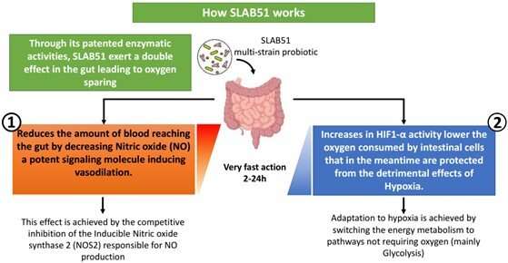 Researchers discover exploiting microbiome bacteria in patients with lung infections improves low oxygen levels