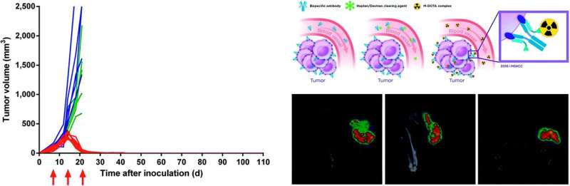 New system for treating colorectal cancer can lead to complete cure