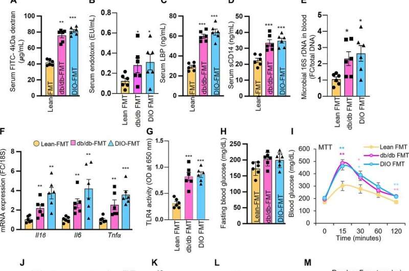 Study examines leaky gut syndrome 