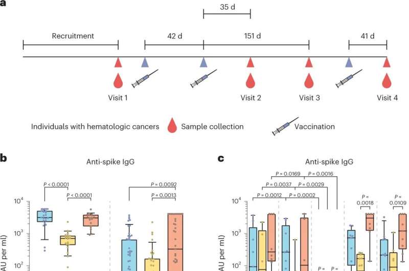 COVID-19 vaccination protects people with blood cancer