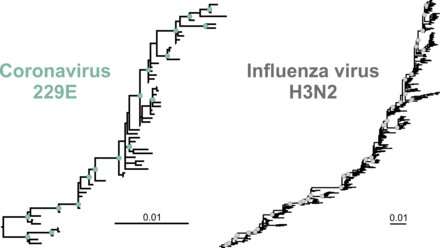 Will COVID-19 vaccines need to be adapted regularly? 