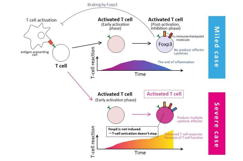 T-cell abnormalities in severe COVID-19 cases