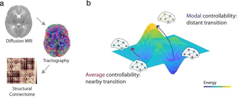 Brain control in infancy linked to cognitive ability in toddlers