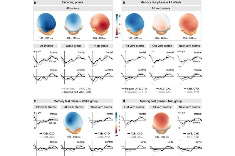 Babies form a memory for grammatical relationships, even without sleep