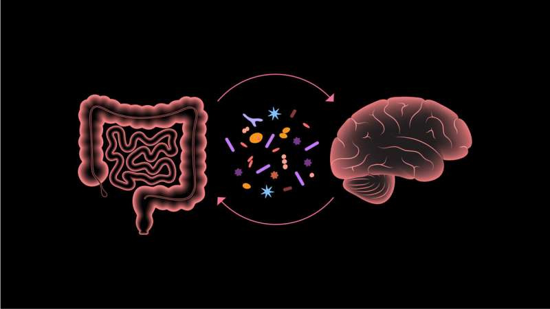 Study finds microbiota transfer therapy provides long term improvement in gut health in children with autism 