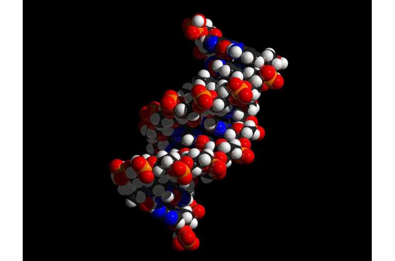 Can a DNA construction kit replace expensive antibody medication? 