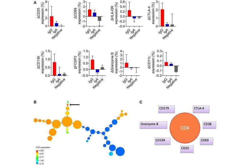 IgA antibodies seem to protect unvaccinated against COVID-19