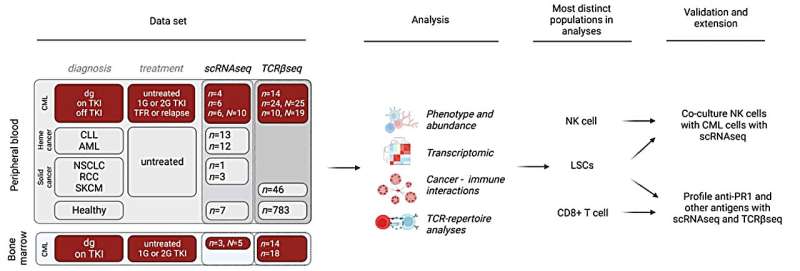 Schematics showing the overview of data sets, analysis, and validation and extensions. Picture created with biorender.com. Credit: Leukemia (2023). DOI: 10.1038/s41375-023-02074-w