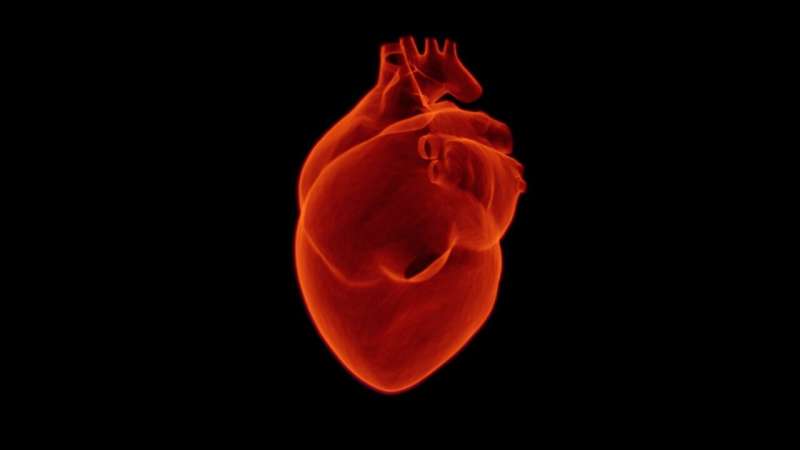 Gene-based therapy may slow development of life-threatening heart condition