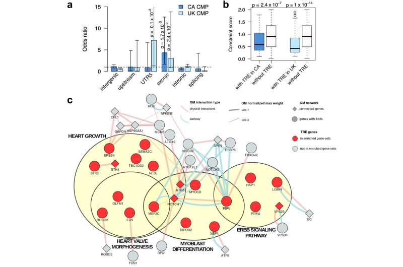 Whole genome sequencing reveals new genetic marker for cardiomyopathy