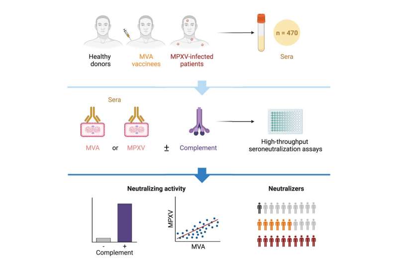 Monkeypox: Characterization of post-infectious immune response