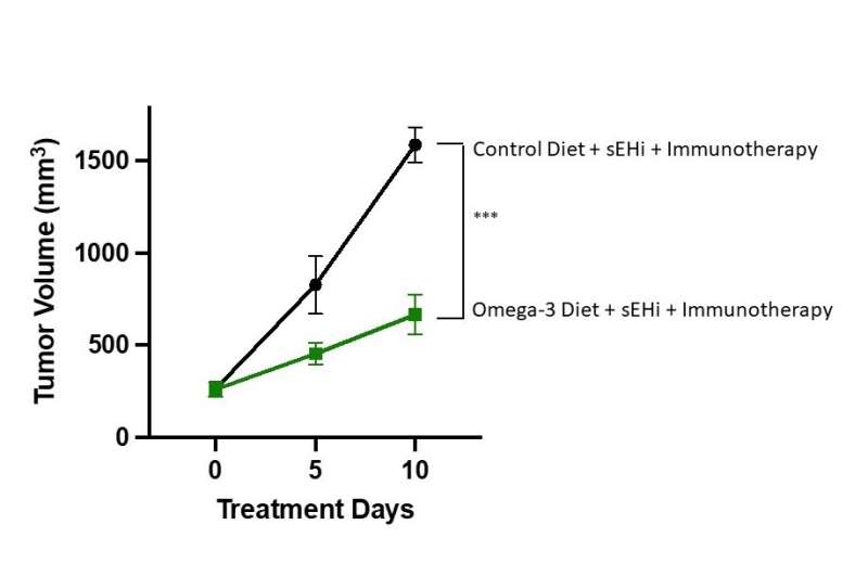 Omega-3s could boost immunotherapy's cancer-fighting power