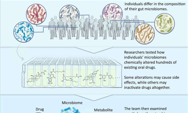 Study investigates potential for gut microbiome to alter drug safety and efficacy 