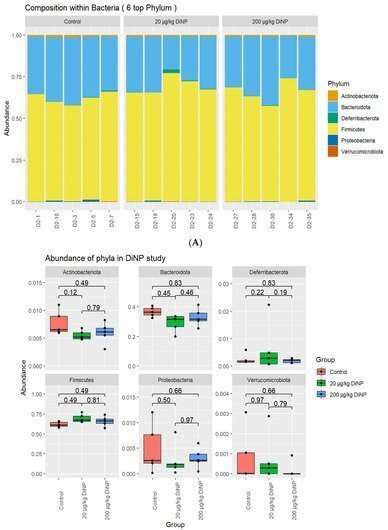 Study investigates the effects of DiNP on the colon 