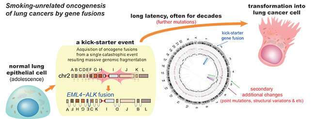 Early genome catastrophes can cause non-smoking lung cancer 