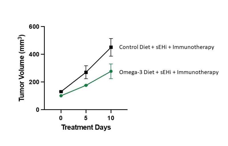 Omega-3s could boost immunotherapy's cancer-fighting power