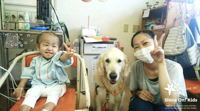 Facility dogs in children's hospitals benefit both patients and staff, shows new study 