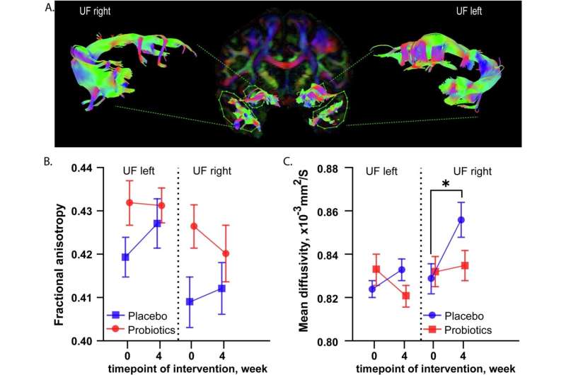 Disrupted gut microbiome involved in depression, finds research 