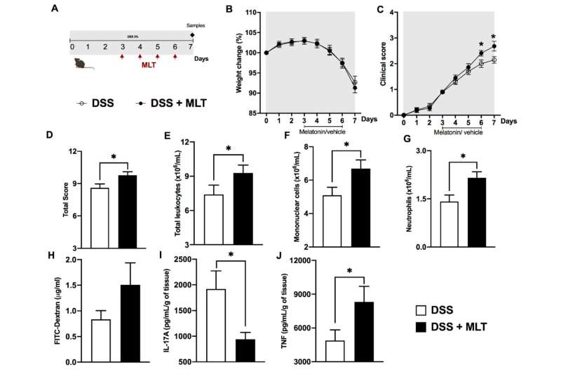 Study shows melatonin, commonly used to improve sleep, can aggravate bowel inflammation 