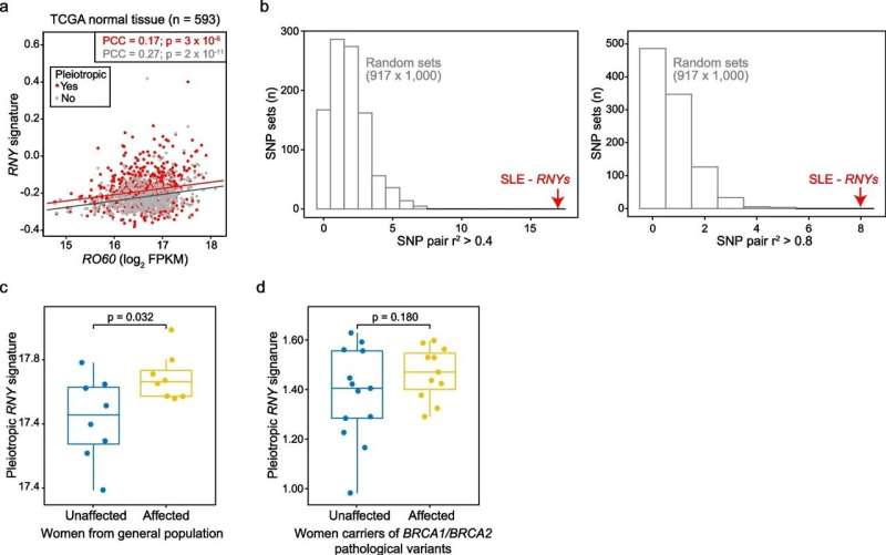 Alterations in the blood immune system found to increase cancer risk