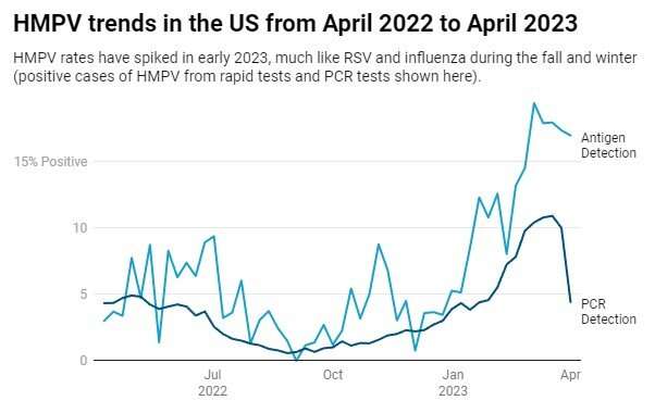 Human metapneumovirus is filling ICUs this spring—a pediatric infectious disease specialist explains 