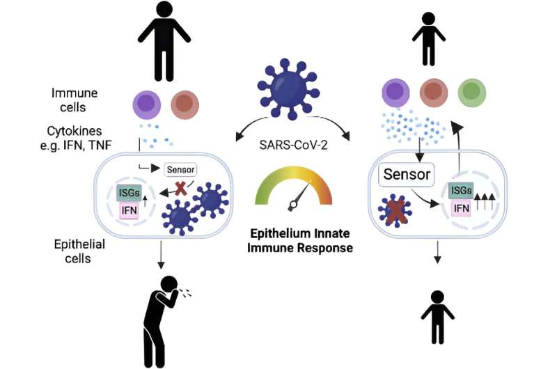 SARS-CoV-2: Alert immune system in the respiratory tract protects children from severe courses of the disease 