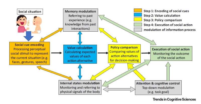 A model system to evaluate how infants change behavior in different social interactions 