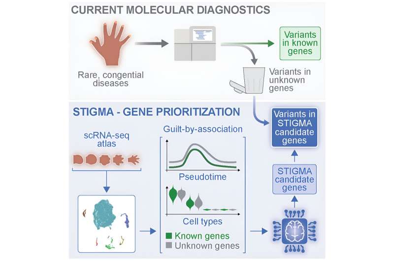 AI-based algorithm enables better genetic diagnoses