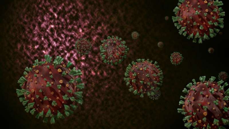 SARS-CoV-2 infections may trigger antibody responses against multiple virus proteins 